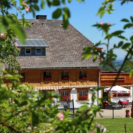 Hoehenpension Glashuette Fruehstueckspension Garni فندق 2*