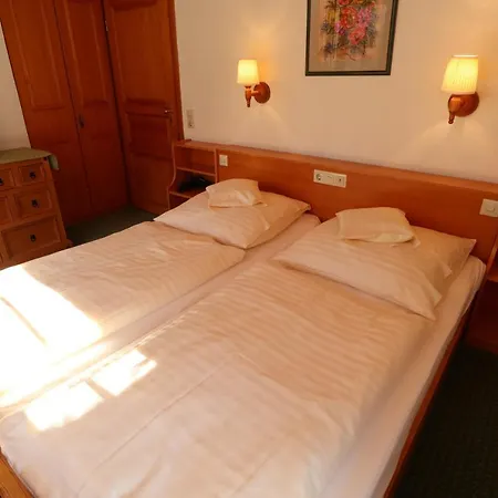 فندق Hoehenpension Glashuette Fruehstueckspension Garni 2*