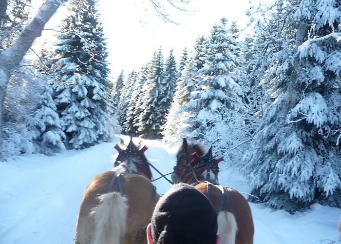 Hoehenpension Glashuette Fruehstueckspension Garni